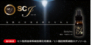 2026/09/scj-series